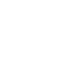 CWE icon