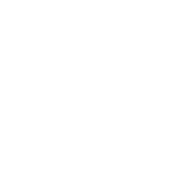 .NET icon